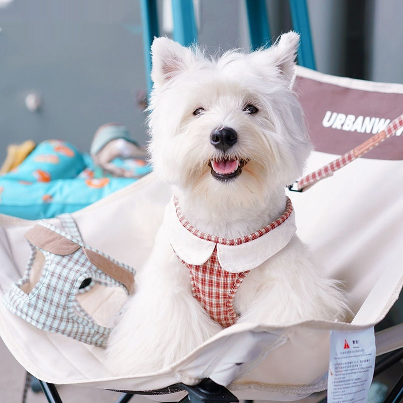 Fashion Small Vest Rope Dog Harness